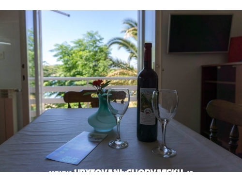 Appartements Villa Seka pool &amp; sauna - ostrov Rab Croatie