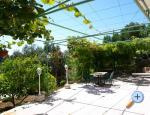 Rooms Vukusic