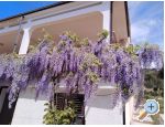 Apartmn Mii - OAZA MIRA - Rogoznica Chorvtsko