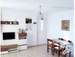 Appartements Ante - Rogoznica Kroatien