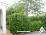Rogoznica, Kroati� - Apartmani Juki�
