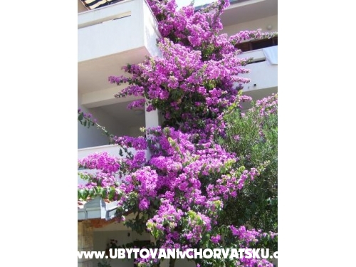 Appartements Raanj (Appartements Soldi) - Rogoznica Kroatien