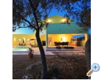 Villa Gaby with heated pool - Sali  Dugi otok Chorwacja