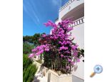 Apartmani Pinea Sol - ibenik Hrvatska