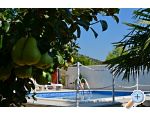 Appartements Villa RA - ibenik Kroatien