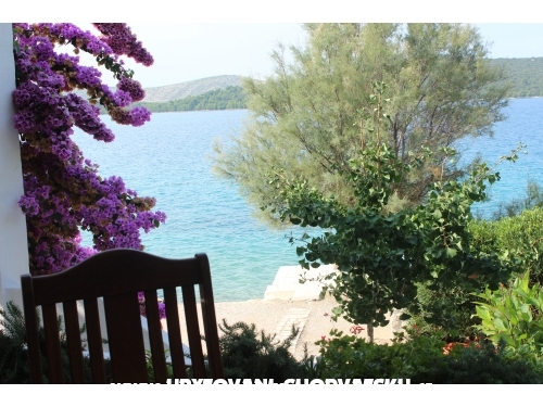 Appartements Mare Nostrum - ibenik Croatie