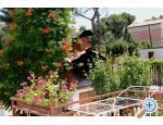 Apartmanok Marija i Toni - ibenik Horvtorszg