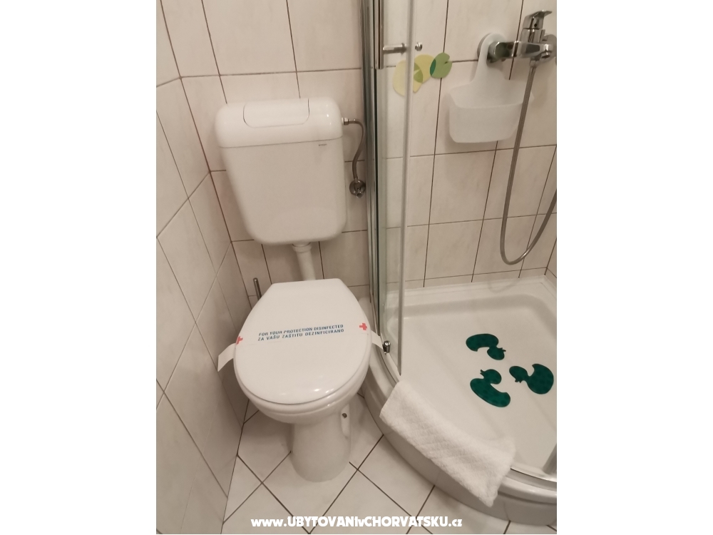 Appartements POLAA - Slano - Slano Croatie