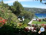 Apartments POLAA - Slano - Slano Croatia