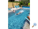 Villa Dube Slano/ villa mit Pool - Slano Kroatien