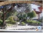 Villa Bonetti - Supetar  Bra Chorvatsko