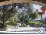 Villa Bonetti - Supetar  Bra Horvtorszg