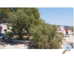 Appartements Mile - Sveti Petar Kroatien