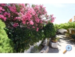 Apartmny M.A.I.S. - Tisno Chorvatsko
