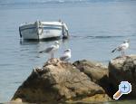 Apartman Antea