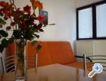 Apartmani Murtila