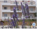 Villa Marija agroturizam Хорватия trogir