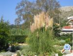 Apartments Sunce