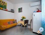 Apartments Ferina Poljana ostrov Ugljan 