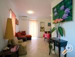 Apartments Ferina Poljana ostrov Ugljan 