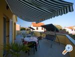 Apartments Ferina Poljana ostrov Ugljan 