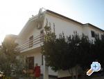 Apartmani Mira smještaj Hrvatska otok Ugljan