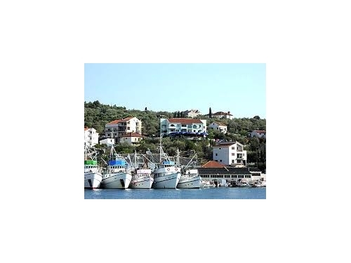 Apartmn Matija - ostrov Ugljan Chorvtsko