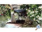 Apartmai Vitlov - ostrov Ugljan Croatia