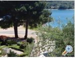 Apartmai Vitlov - ostrov Ugljan Croatia