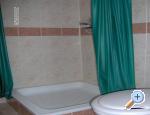 Apartman Cestar