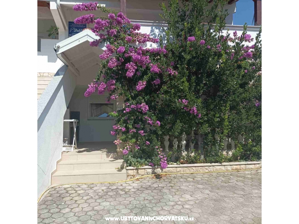 Apartments Delfin - ostrov Vir Croatia