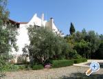 Apartmani Basic Chorvatsko