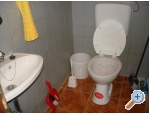 Apartmny Debeljak - ostrov Vir Chorvatsko