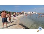Appartements Marina 2/29 - ostrov Vir Kroatien