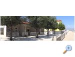 Appartements Marina 2/29 - ostrov Vir Kroatien