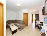 Apartments Pavi - Sapavac - ostrov Vir Croatia