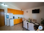 Apartmny Pavic - ostrov Vir Chorvatsko