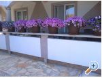 Apartments Robi - ostrov Vir Croatia