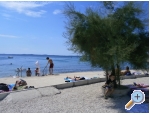 Ferienwohnungen Davorka - ostrov Vir Kroatien