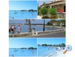 Tonis Apartments - ostrov Vir Croatia