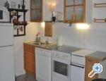 Villa Paloc ostrov Vis