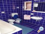 Apartmani Trlaja