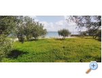 Apartmn Prvic Sepurine - Vodice Chorvatsko