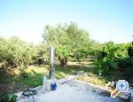 Apartmn Prvic Sepurine - Vodice Chorvatsko