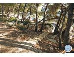 Apartmn  VESNA - Vodice Chorvatsko