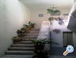 Cimmer Fraj Vodice