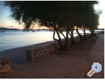 Kiwi Dm - Vodice Chorvatsko