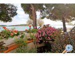 Villa Aurelia - Vodice Croatia