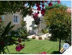 Apartmani Toni