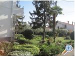 Apartman Irena